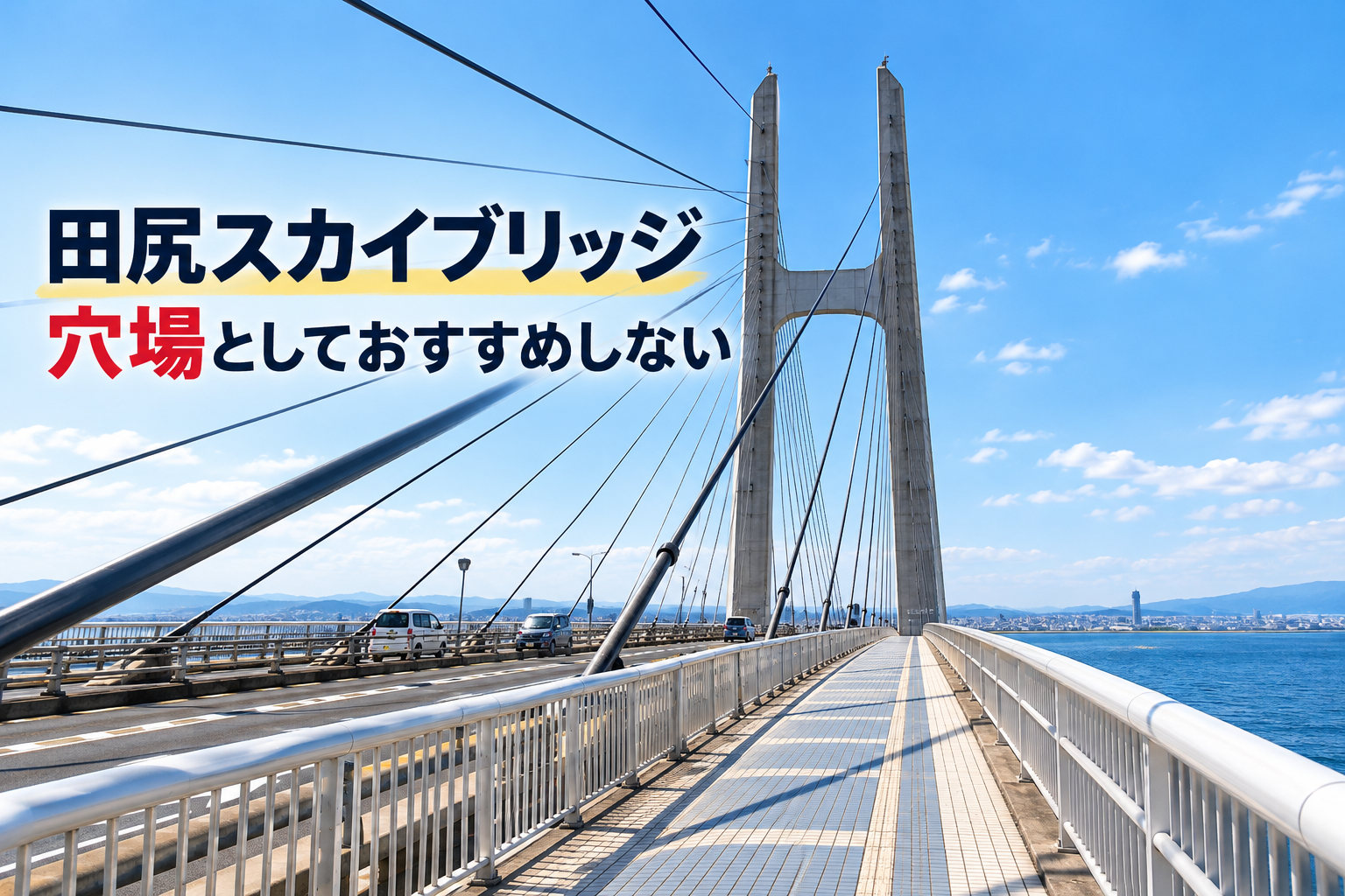 田尻スカイブリッジが大阪芸術花火の穴場に向かない理由